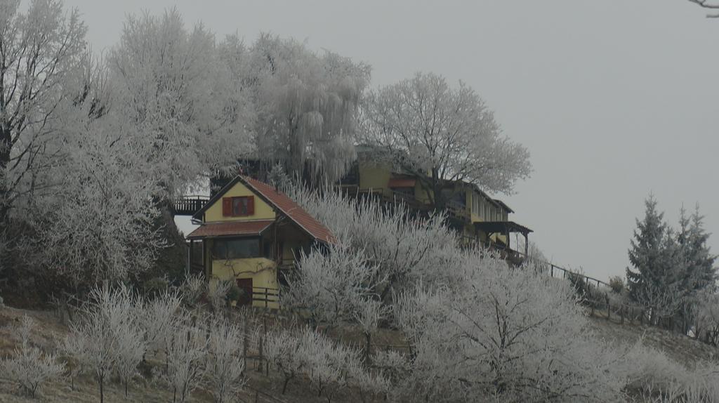 Country House Na Malenom Brijegu Bjelovar Exterior foto